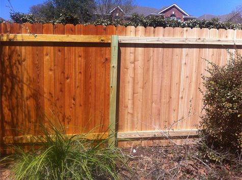 Spruce wooden fence being stained. This photo was taken in Mesquite, TX.